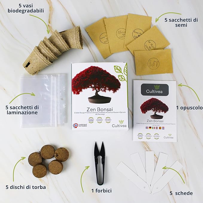 Idea regali eco kit bonsai