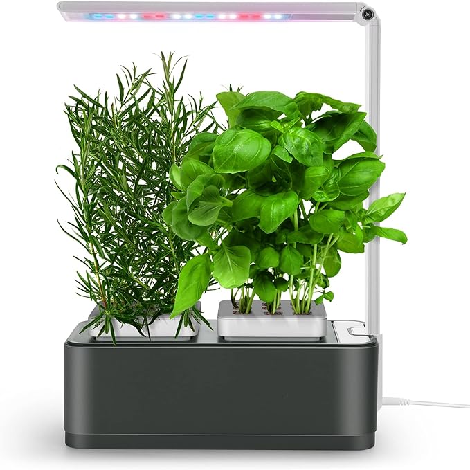 Idee regalo serra idroponica